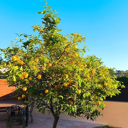 Adosado Con Jardin En Los Xalets De Salou Buitenkant foto