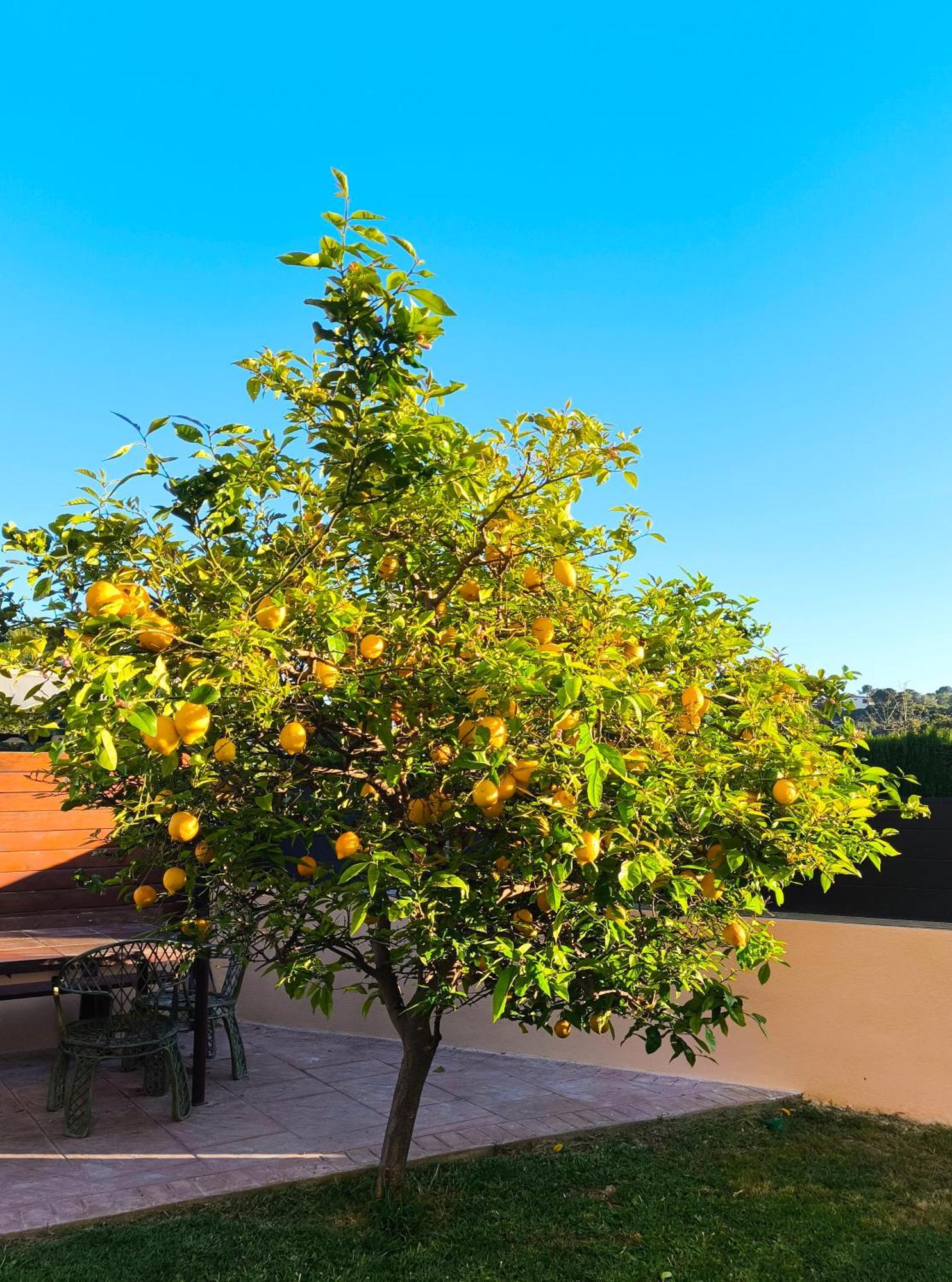 Adosado Con Jardin En Los Xalets De Salou Buitenkant foto